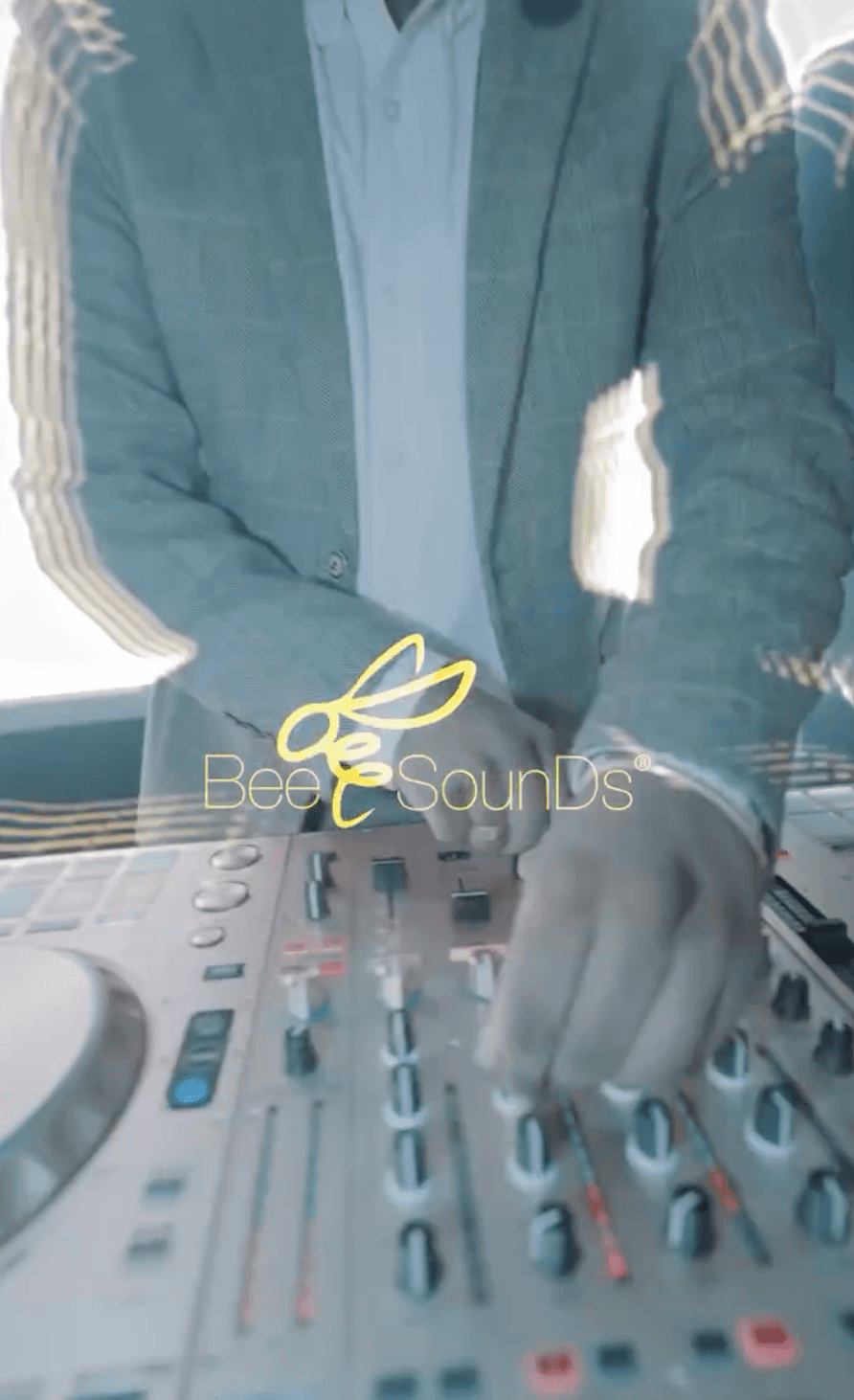 Bee Sounds 6