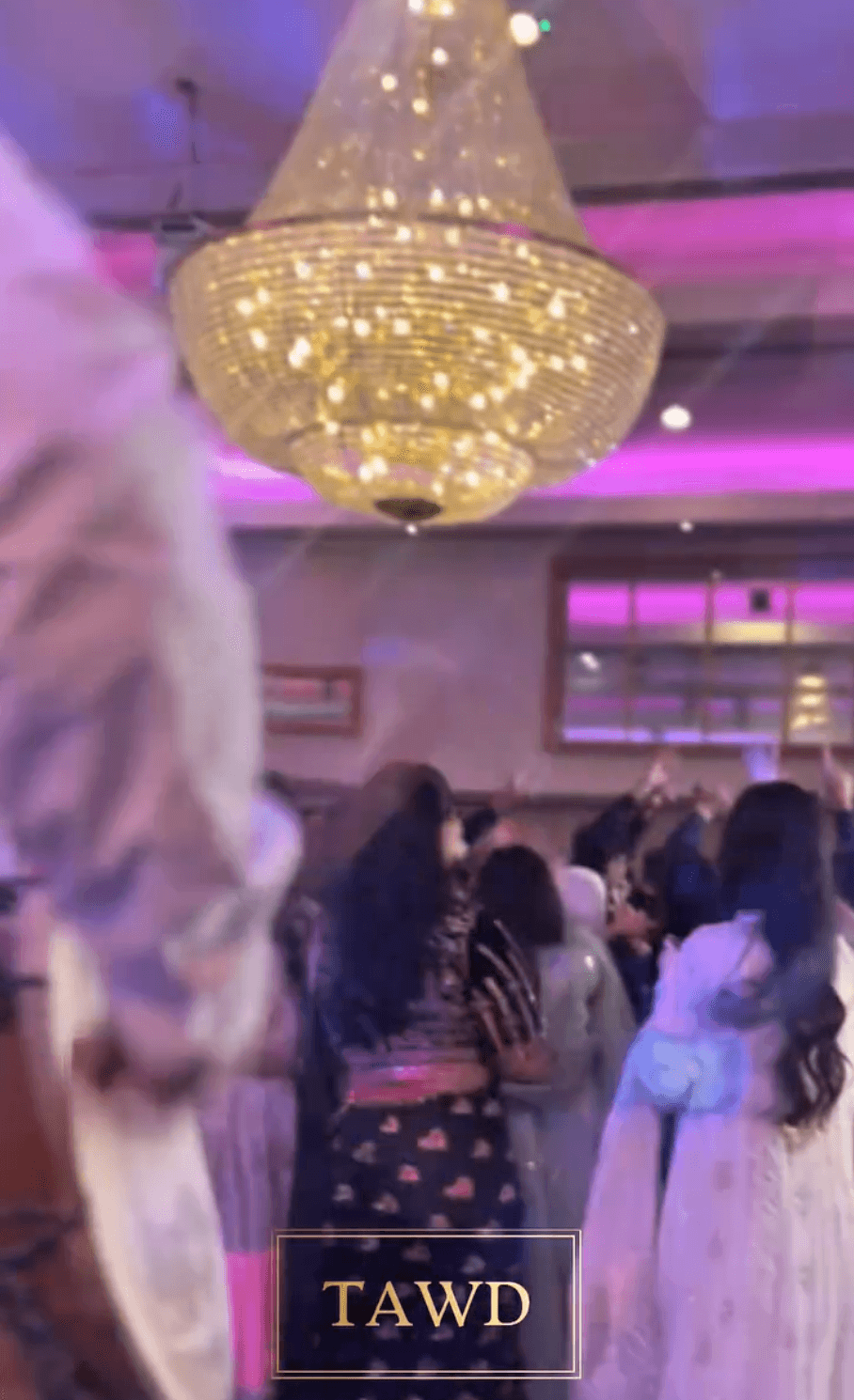 The Asian Wedding DJ 4